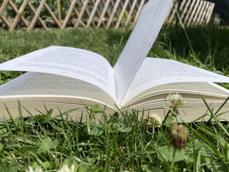 02 BIBLIOTHEQUE M.LE ROUX