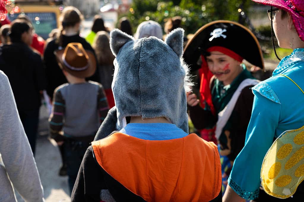 CARNAVAL DE VAIRE 7 carnaval 02